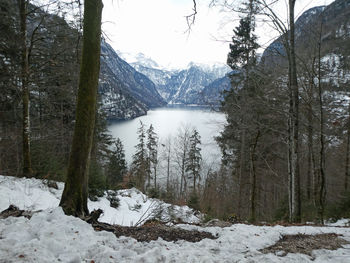 Scenic view of snow covered mountain