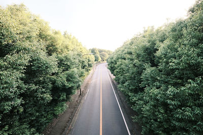 Road amidst trees against sky