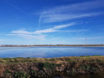 Scenic view of field against blue sky