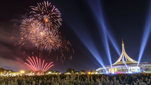 Firework display at night