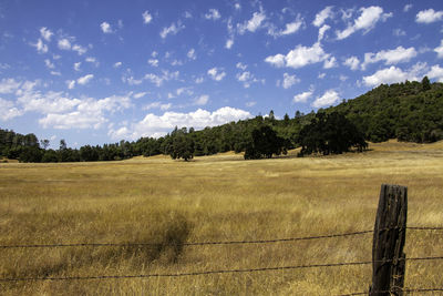 Scenic view of field against sky