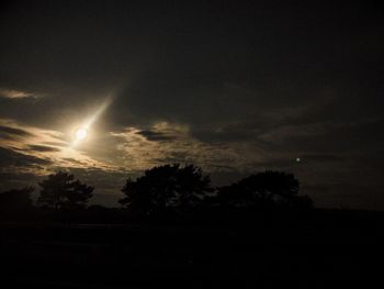 Silhouette trees against sky at night