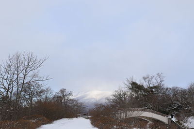 Bare trees on snowcapped field against sky