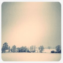 Scenic view of snow covered landscape