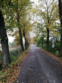 Road amidst trees against sky