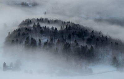 Panoramic view of trees against sky during winter