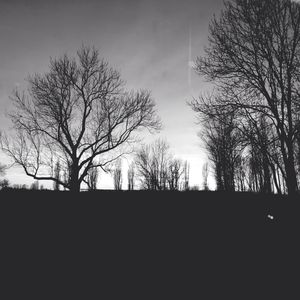 Low angle view of bare trees against sky