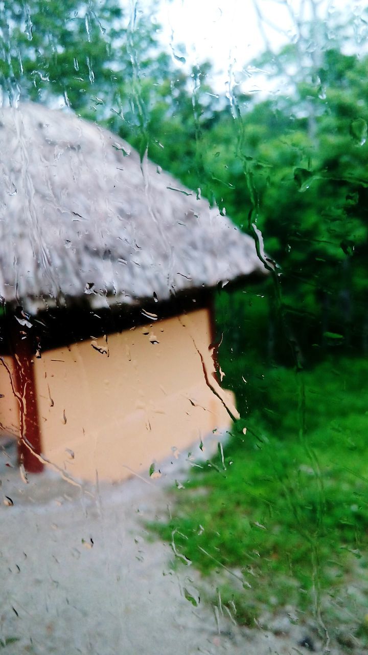 focus on foreground, close-up, water, nature, wet, cold temperature, winter, weather, season, drop, day, outdoors, no people, selective focus, plant, frozen, field, fragility, beauty in nature, snow