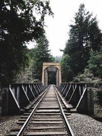 Railroad tracks amidst trees against sky