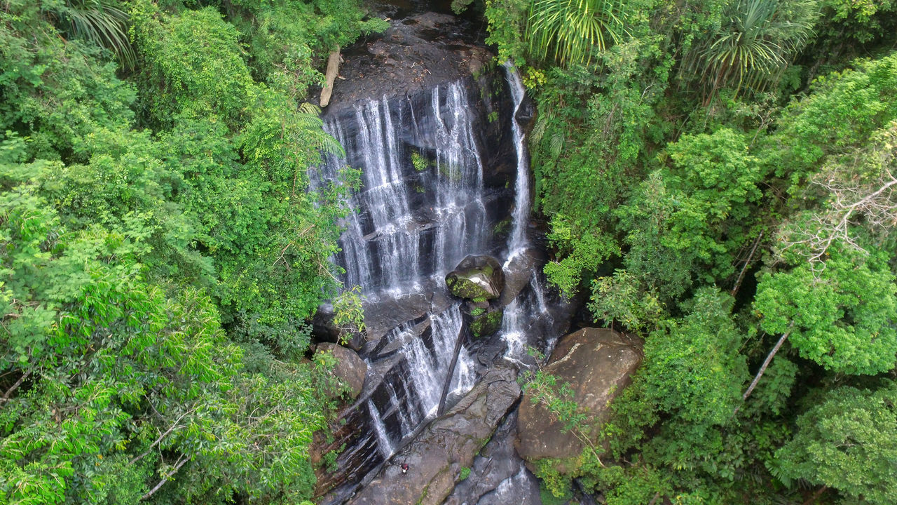 WATERFALL IN FOREST