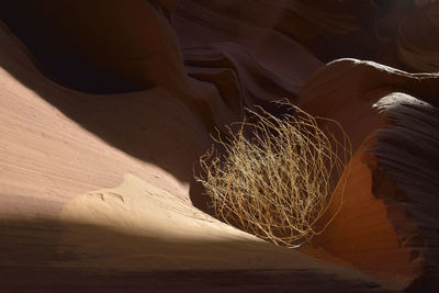 Aerial view of a desert