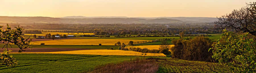 Scenic view of agricultural field against sky during sunset