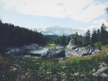 Scenic view of landscape and mountains against sky