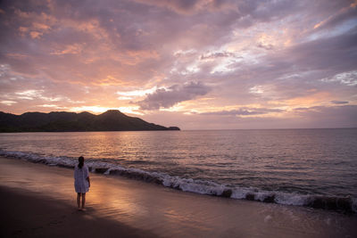 Rear view of man standing at beach during sunset