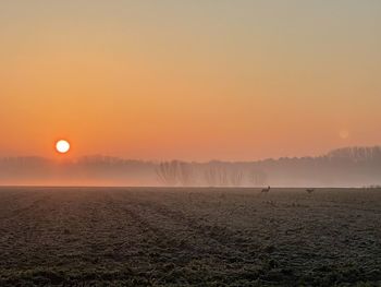 Scenic view of field against sky during sunset