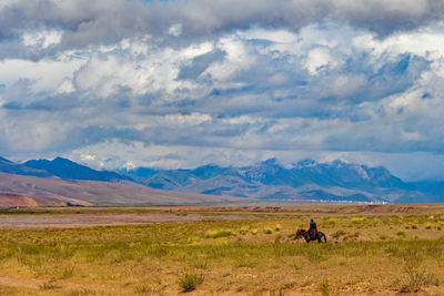 Horse on field against sky