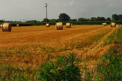 Hay bales on field against sky