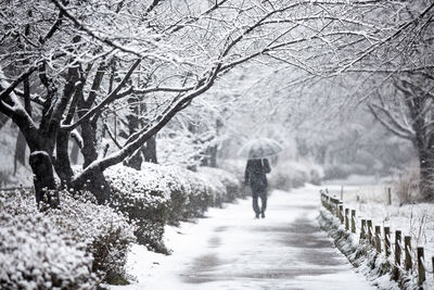 Rear view of person walking on snow covered footpath