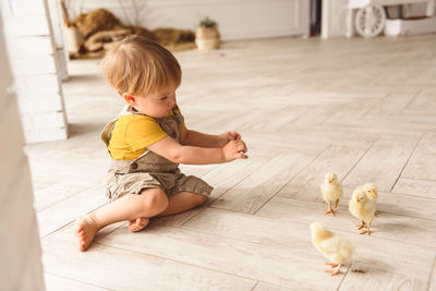 Boy playing with ducks for easter