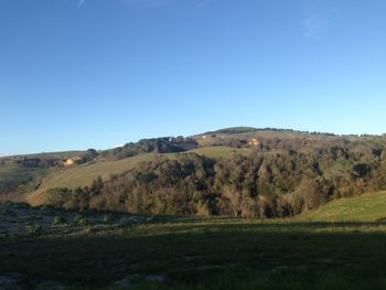 Scenic view of landscape against clear blue sky
