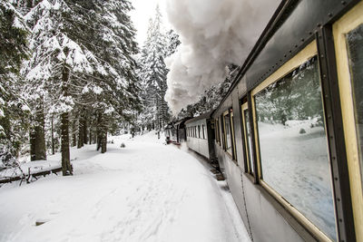 Snow covered train by trees during winter