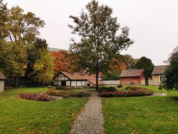Trees and houses on field against sky