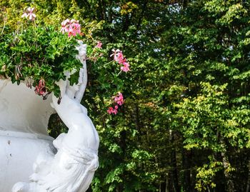 Statue of flowering plants against trees