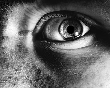 Close-up of human eye