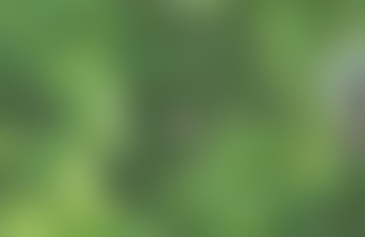 DEFOCUSED IMAGE OF GREEN PLANT