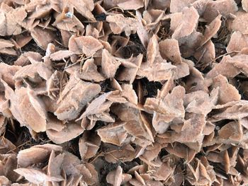 Full frame shot of stack of firewood