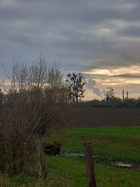 nature