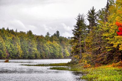 Scenic view of river against cloudy sky