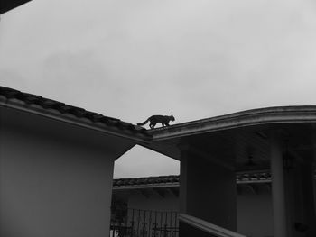 Low angle view of bird perching on building against sky