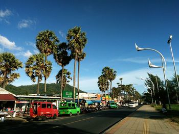 Cars on street by palm trees against sky