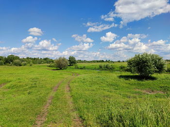 Scenic view of field against sky