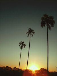 Silhouette palm trees against sky during sunset