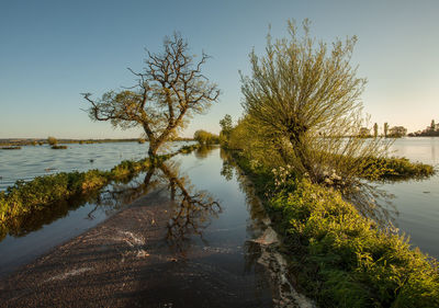 Scenic view of lake against clear sky