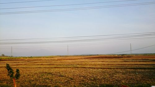 Scenic view of rural landscape