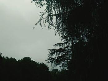 Low angle view of silhouette trees against clear sky