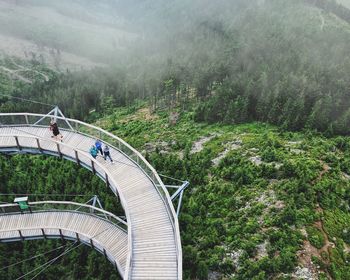 Footbridge in a forest