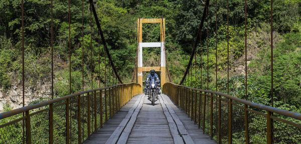 Footbridge amidst trees in forest