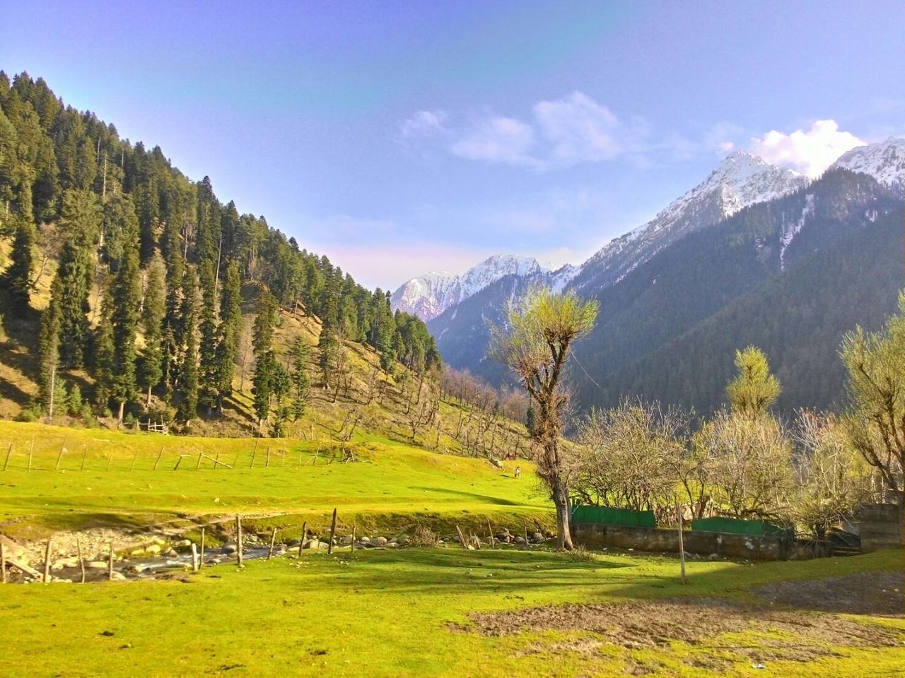 mountain, tranquil scene, landscape, tranquility, scenics, mountain range, beauty in nature, sky, grass, tree, nature, green color, field, growth, non-urban scene, idyllic, day, cloud, remote, grassy