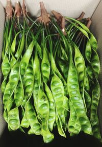 High angle view of green leaves