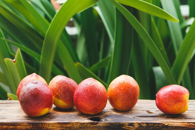 Close-up of fruits on wood