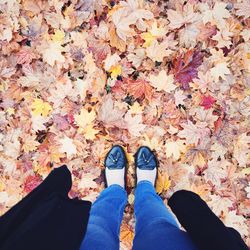 Low section of woman on dry maple leaves during autumn