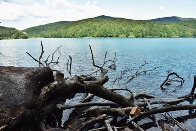 Scenic view of lake against sky