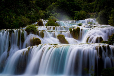 Scenic view of waterfall in forest