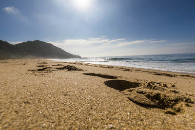 Scenic view of beach against sky