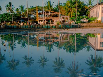 Reflection of plants and swimming pool in lake