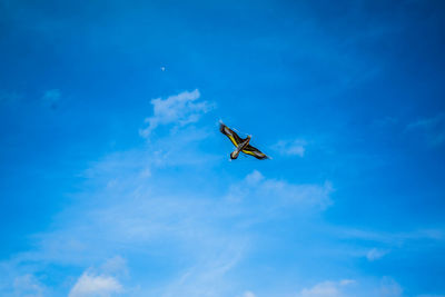 Low angle view of airplane flying in sky